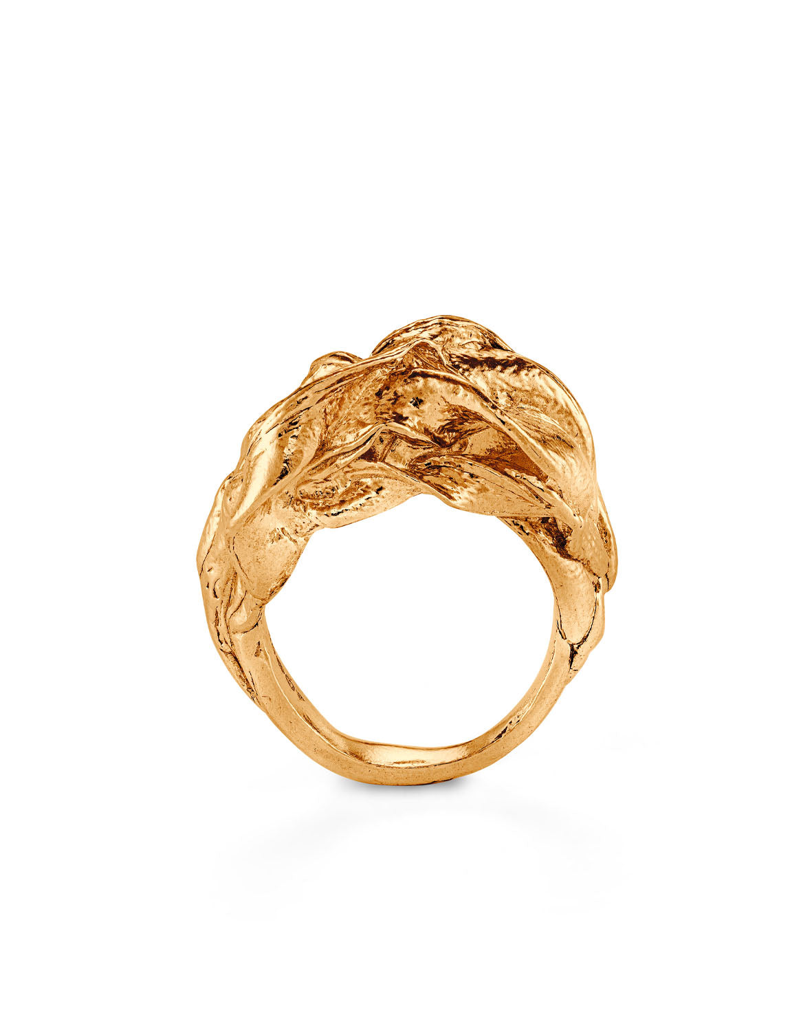 Rama ring 2