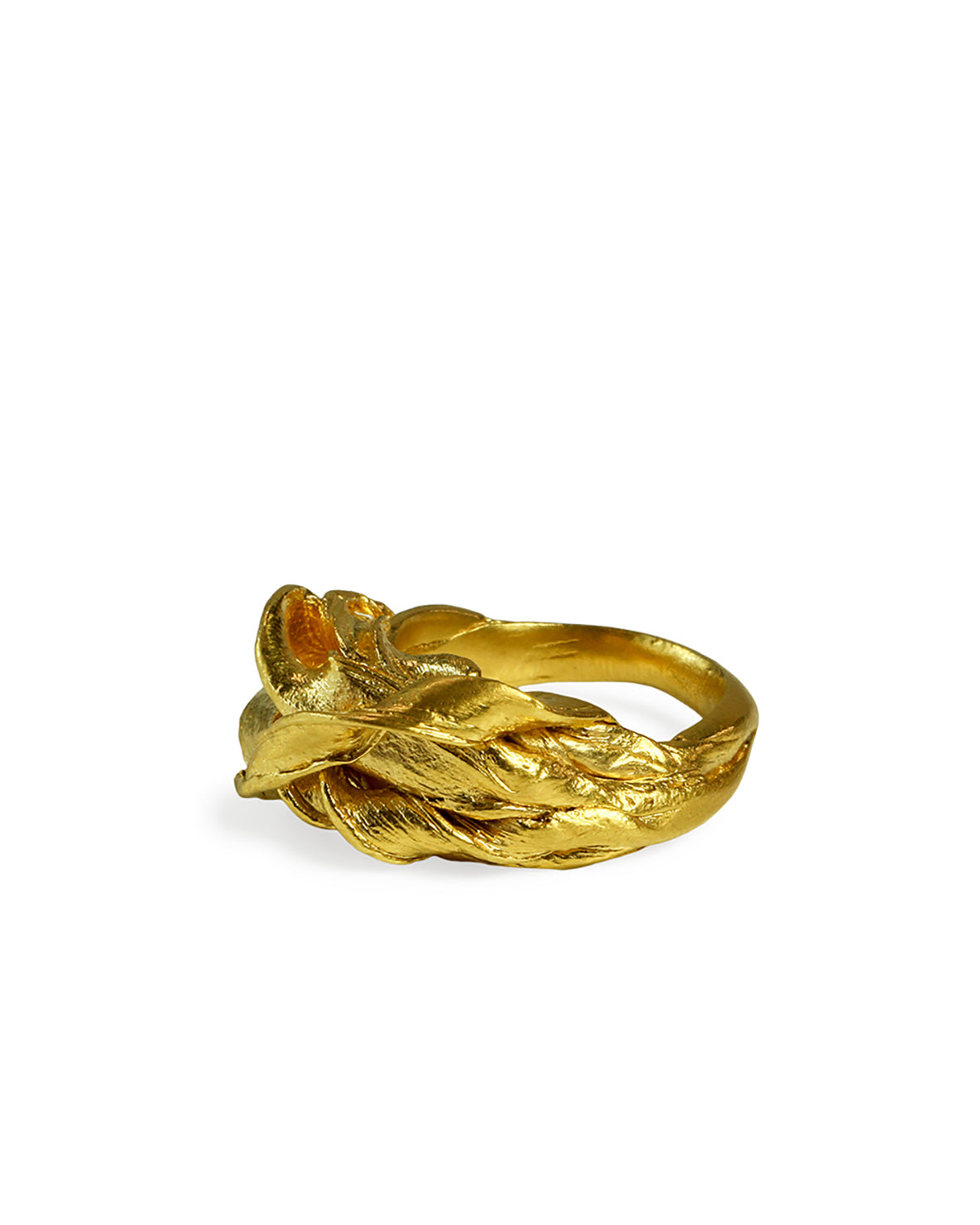 Rama ring 2