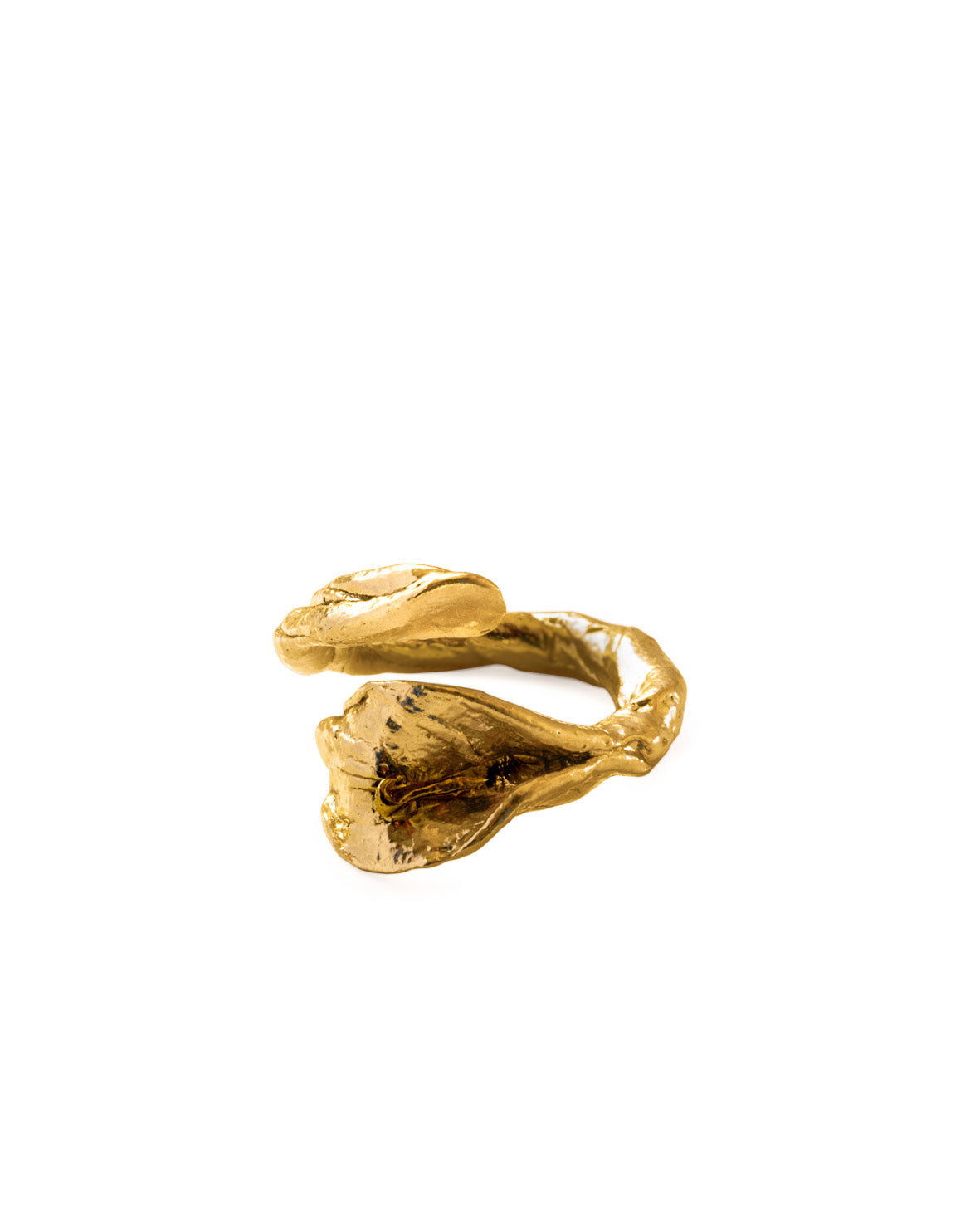 Rama ring 6